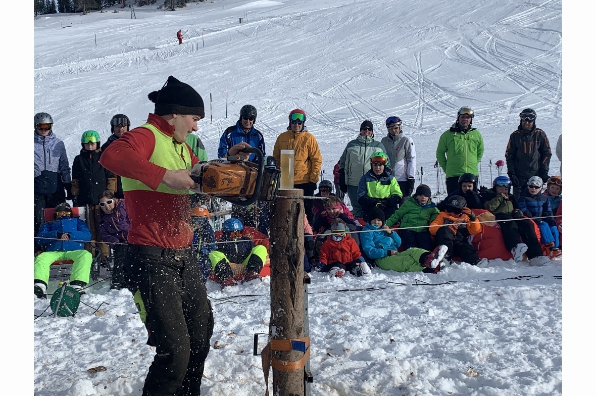 Heikles Sägen einer Scheibe an einem stehenden Stamm mit gefülltem Glas.