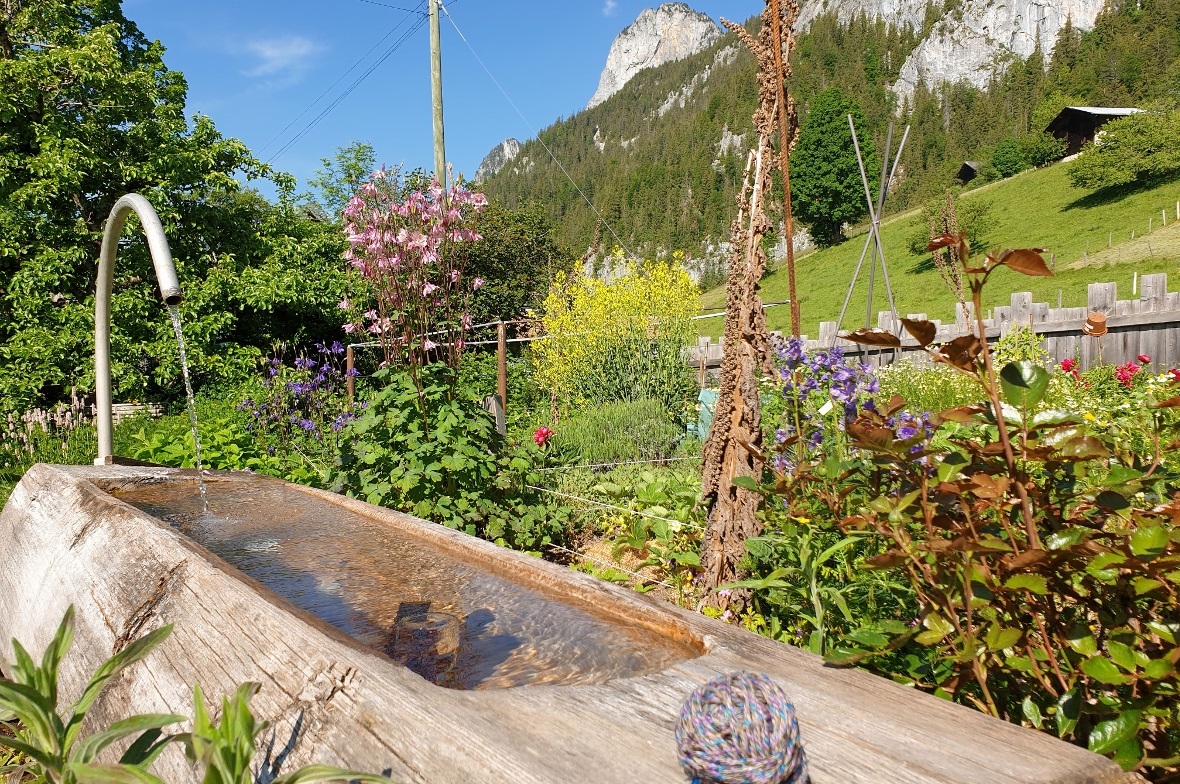 Heilpflanzen, Blumen und fliessendes Wasser in der Trogmatt in Boltigen.