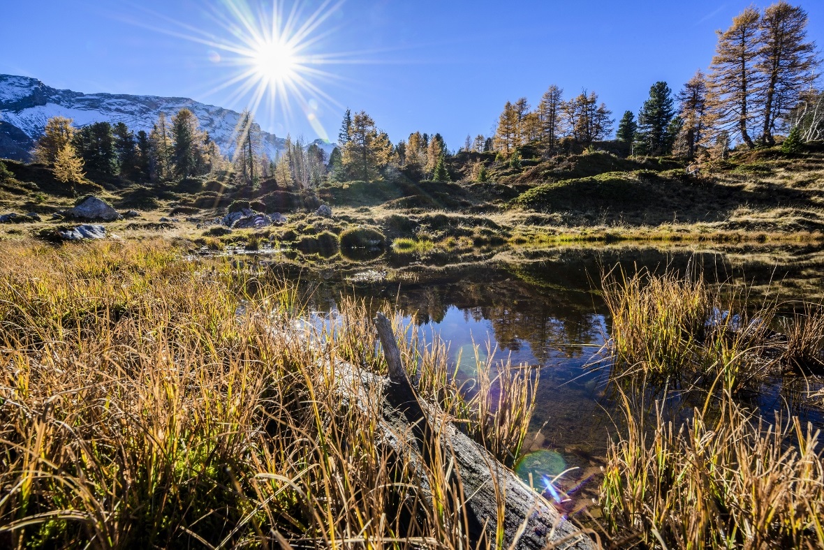 Herbst am Hohberg an der Lenk.