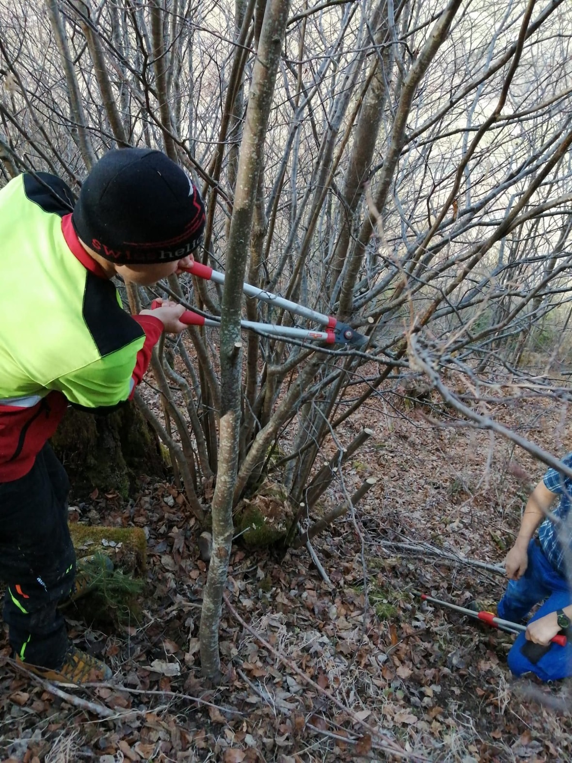 «Heute konnten wir einen Wanderweg von Ästen befreien. Auch konnten wir vieles e...