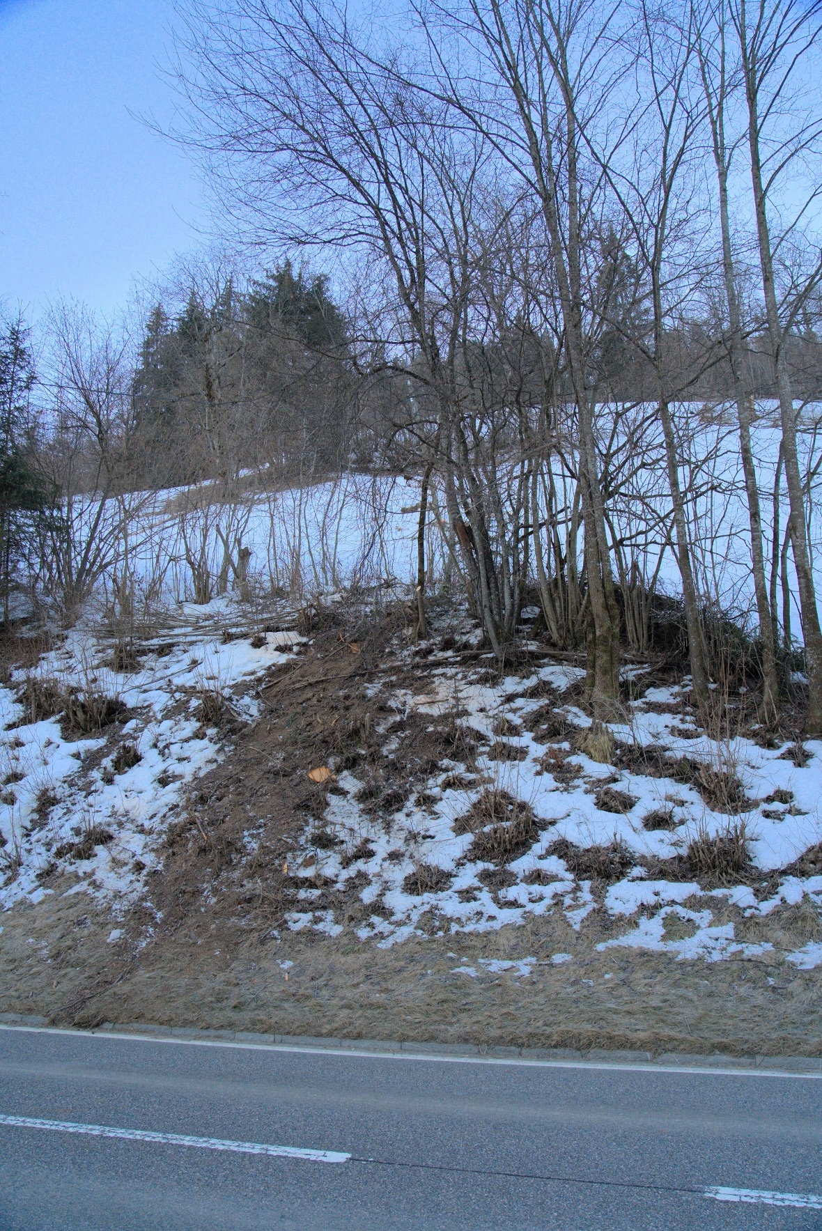 Hier rollte der Felsbrocken auf die Strasse.