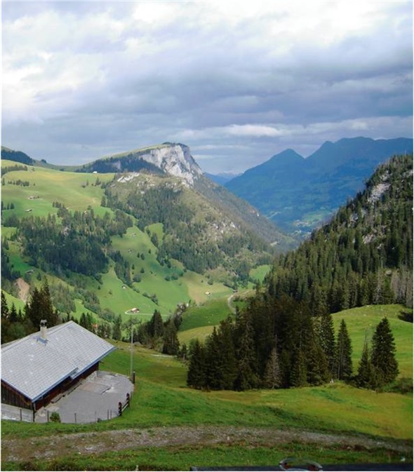 Hinter dieser Kulturlandschaft stehen viel Wissen und Erfahrung. Die Simmentaler Bergland- und Alpwirtschaft hat das über Jahrhunderte entwickelt und gepflegt. Bis heute findet man hier eine Natur und Kultur von hohem Wert – ein Reichtum, der nicht nur kurzfristig und in Geld messbar ist. Was muss heute getan werden für eine gesunde Alpzukunft?