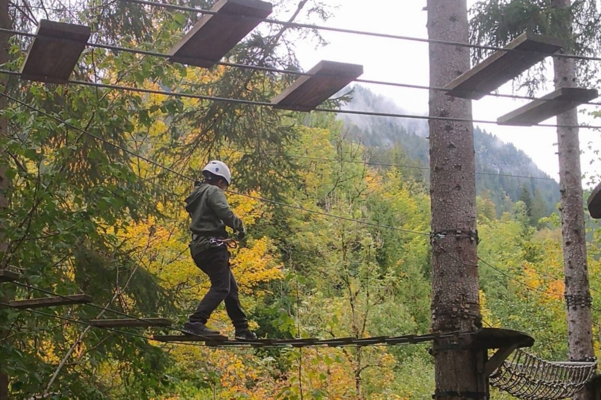 Hoch oben unterwegs im farbigen Herbstwald.