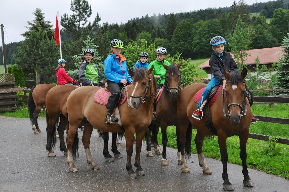 Hoch zu Pferd konnte der Ausritt mit den Freibergerpferden starten.