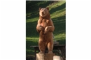 Holzskulpturen von Pascal Baur