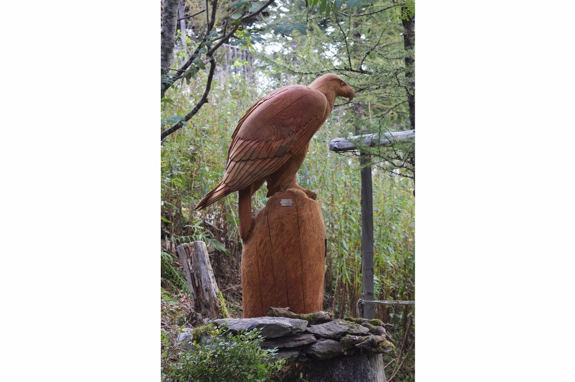 Holzskulpturen von Pascal Baur