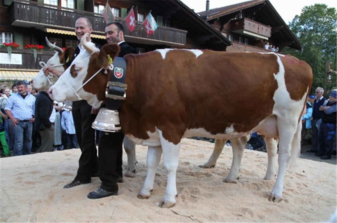 IRIS, die neue Miss Lenk 2014