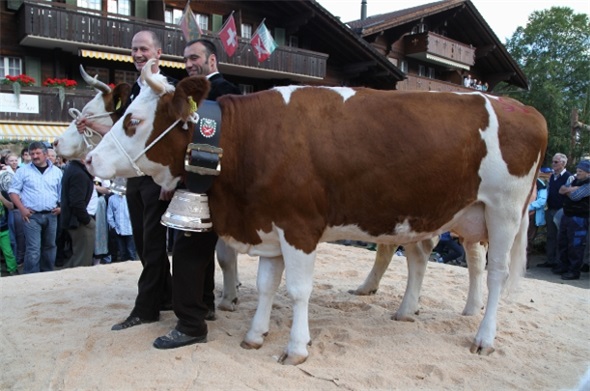 IRIS, die neue Miss Lenk 2014