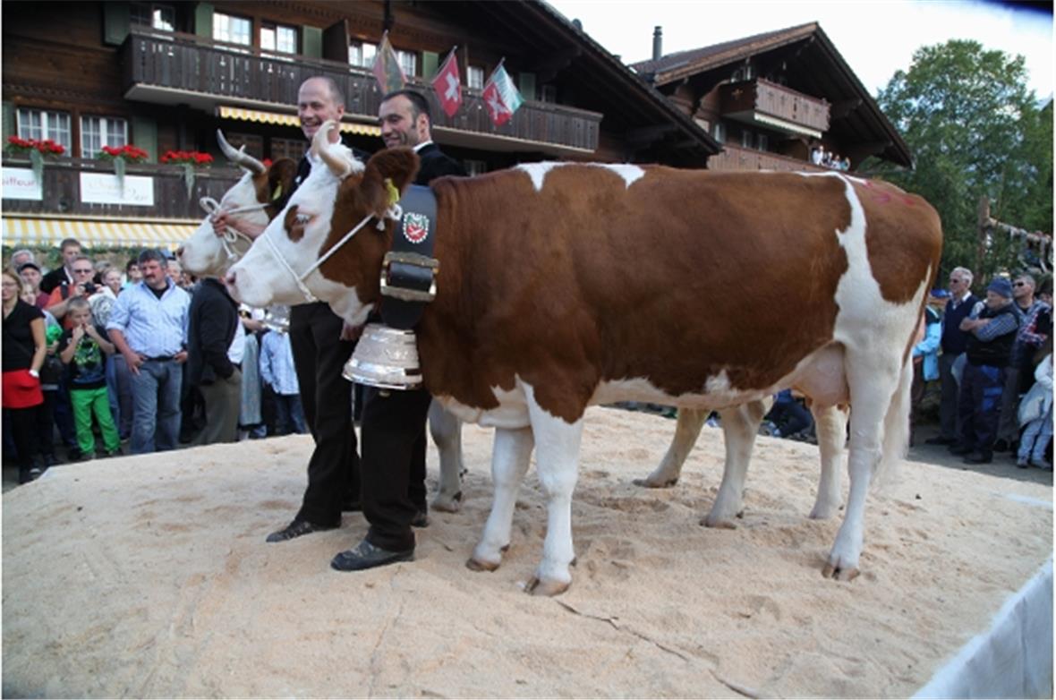 IRIS, die neue Miss Lenk 2014