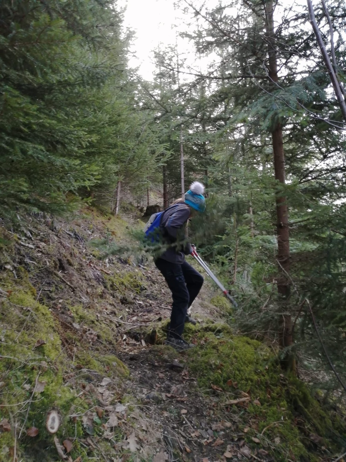 «Ich habe gelernt, wie man Bäume schneidet.» (Aisa Hampel)