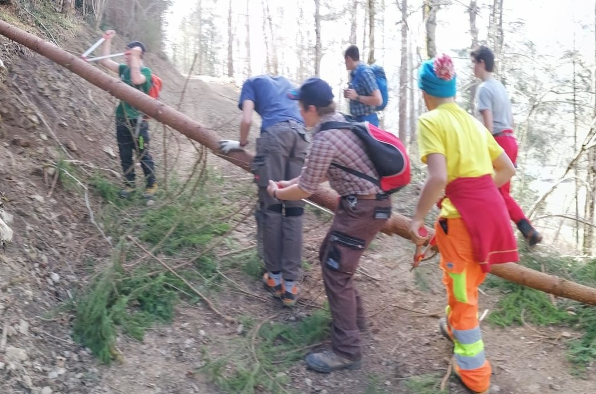 «Ich habe gelernt, wie man eine Tanne in die gewünschte Richtung fällen kann.» (...