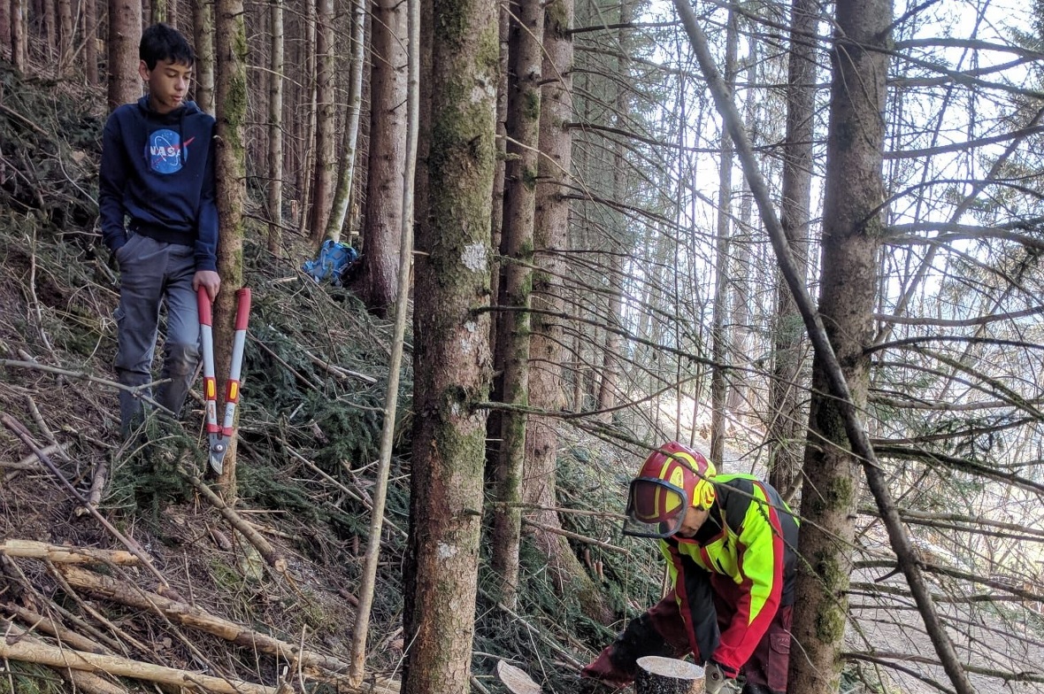 «Ich habe gelernt, wie man richtig einen Baum fällt.» (Luca Buchs)