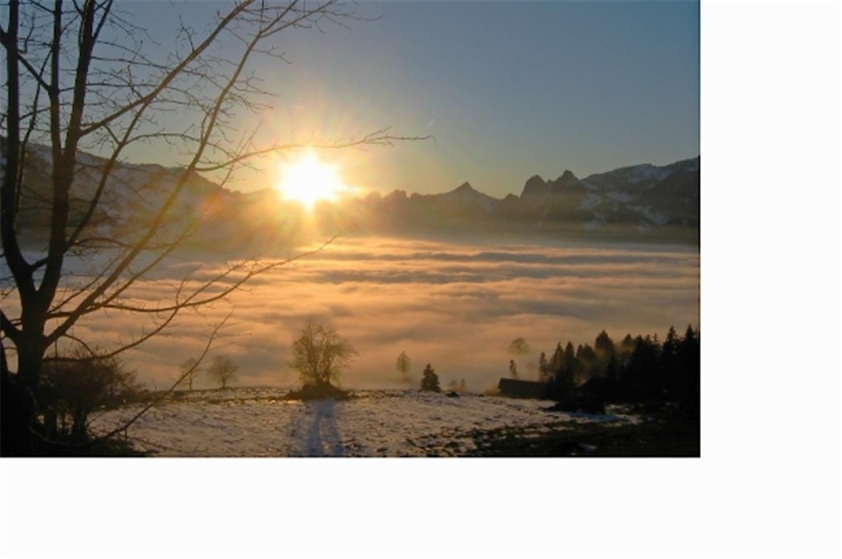 Im Hintergrund sind das Bäderhorn und die Mittagsfluh gut ersichtlich. Foto: Rut...
