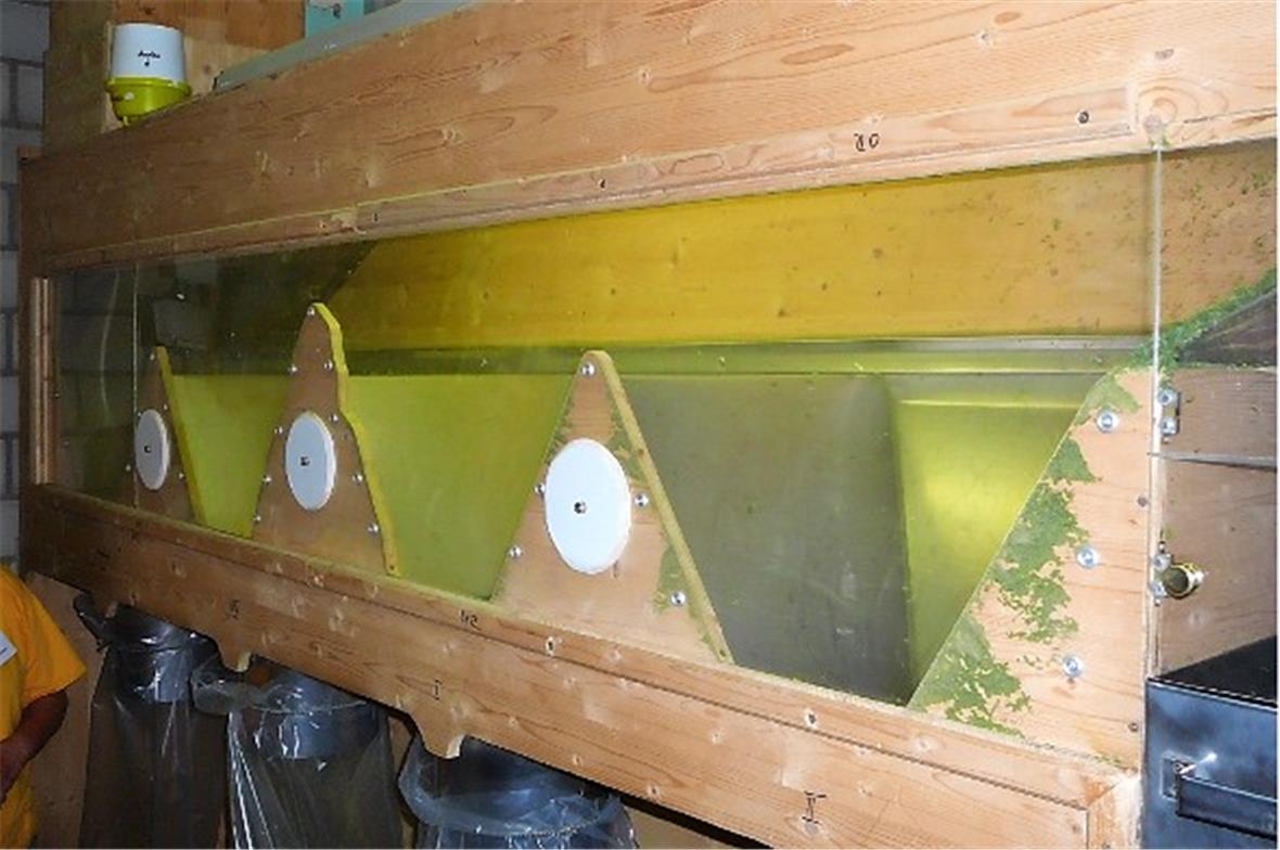 Im Windkanal werden die Kräuter nach Qualität getrennt.