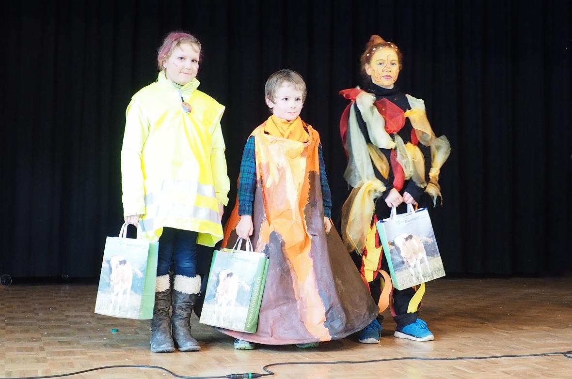 In der Kategorie «Kinder Einzel» haben gewonnen: Lisatzleiter (2. Rang),  Mikajö...