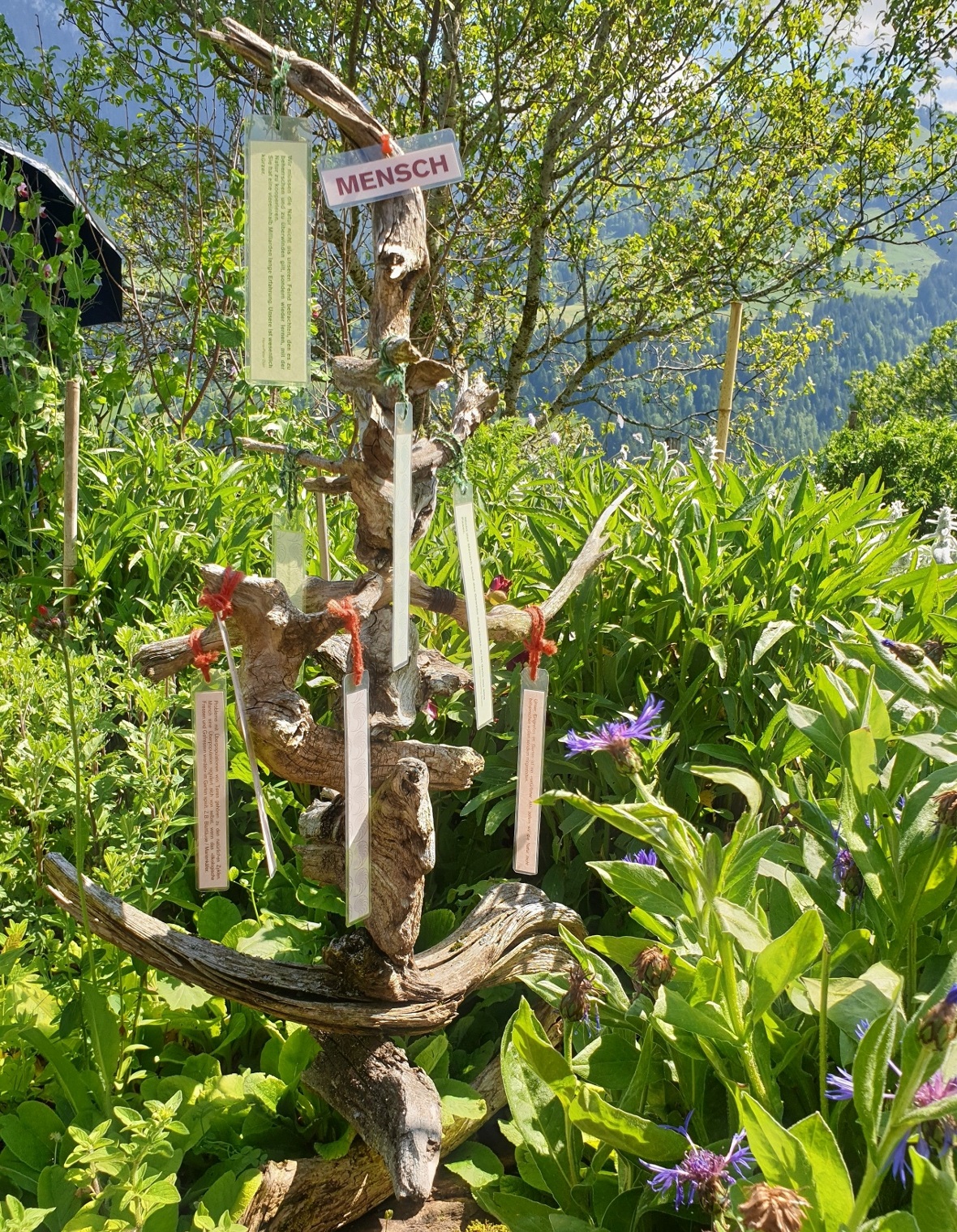 Installation aus Schwemmholz zum Thema Mensch mit Gedanken und Zitaten.