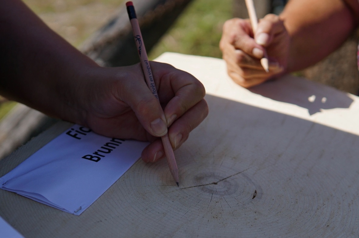 Jahresringe zählen als Quizaufgabe.