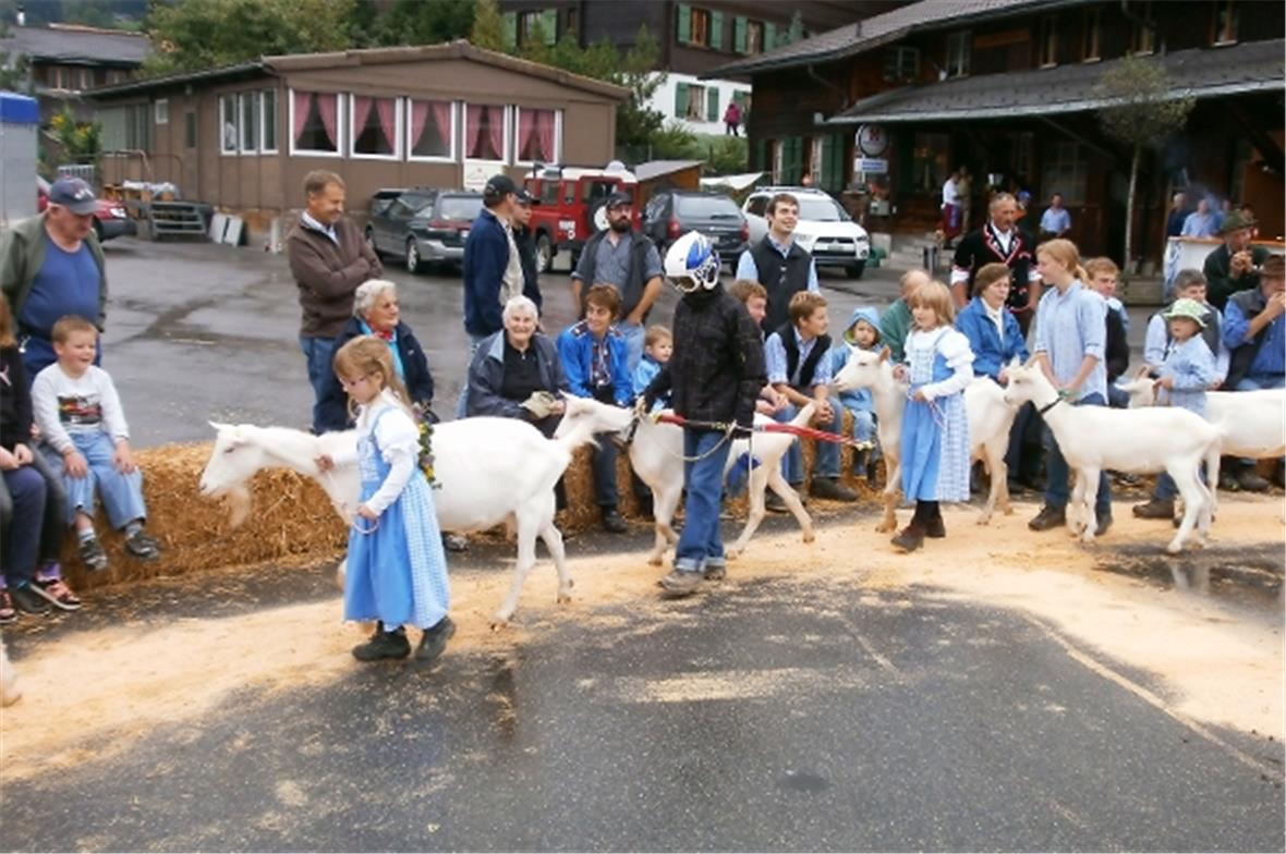 Jeder verkleidet sich und die Ziege nach seinem Geschmack.