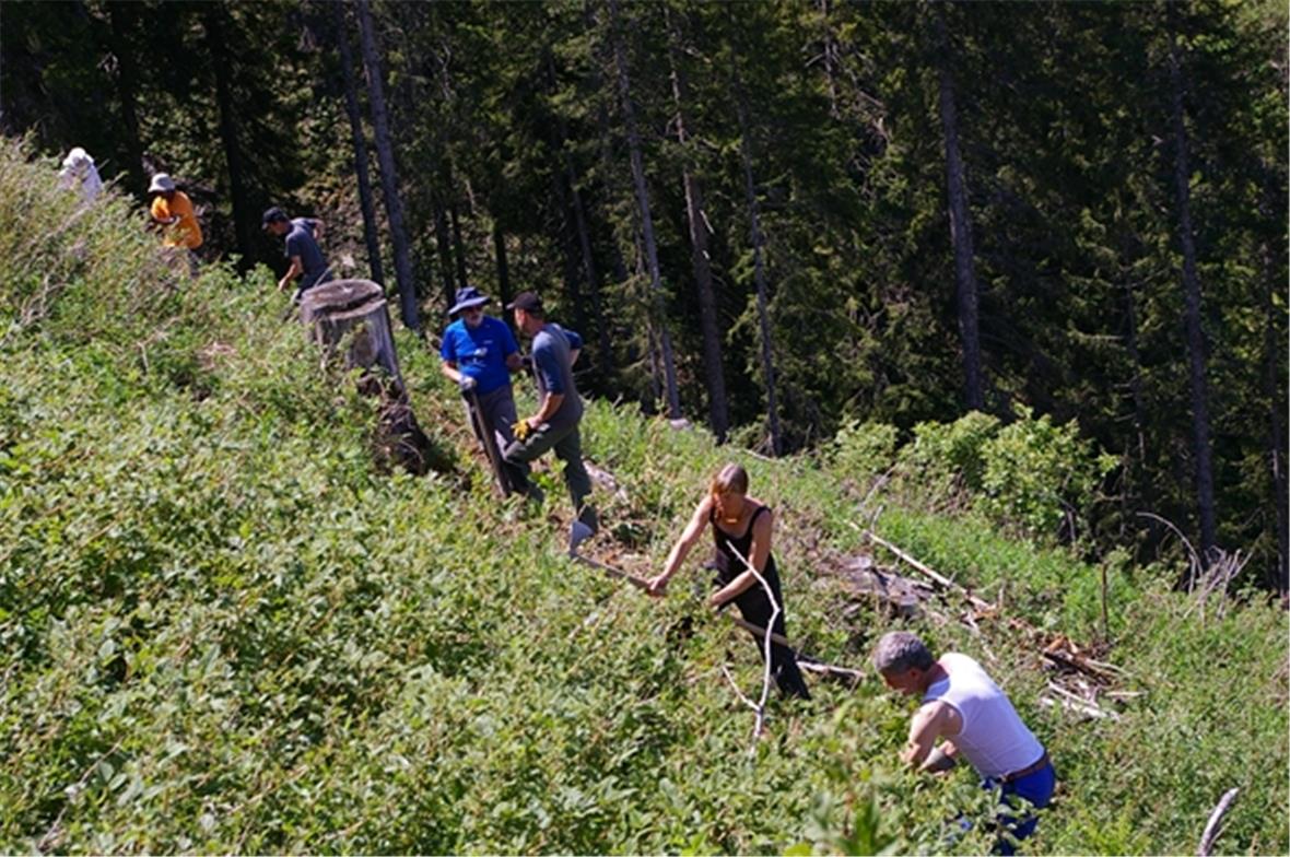 Jeppersgraben Bäuertgemeinde Hintereggen: Hautnah Wald erleben. Dieses Jahr wird...