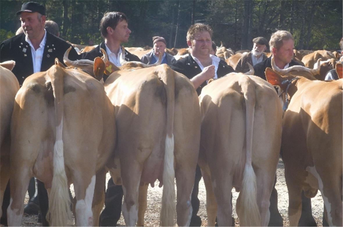 Jetzt gilt es ernst.