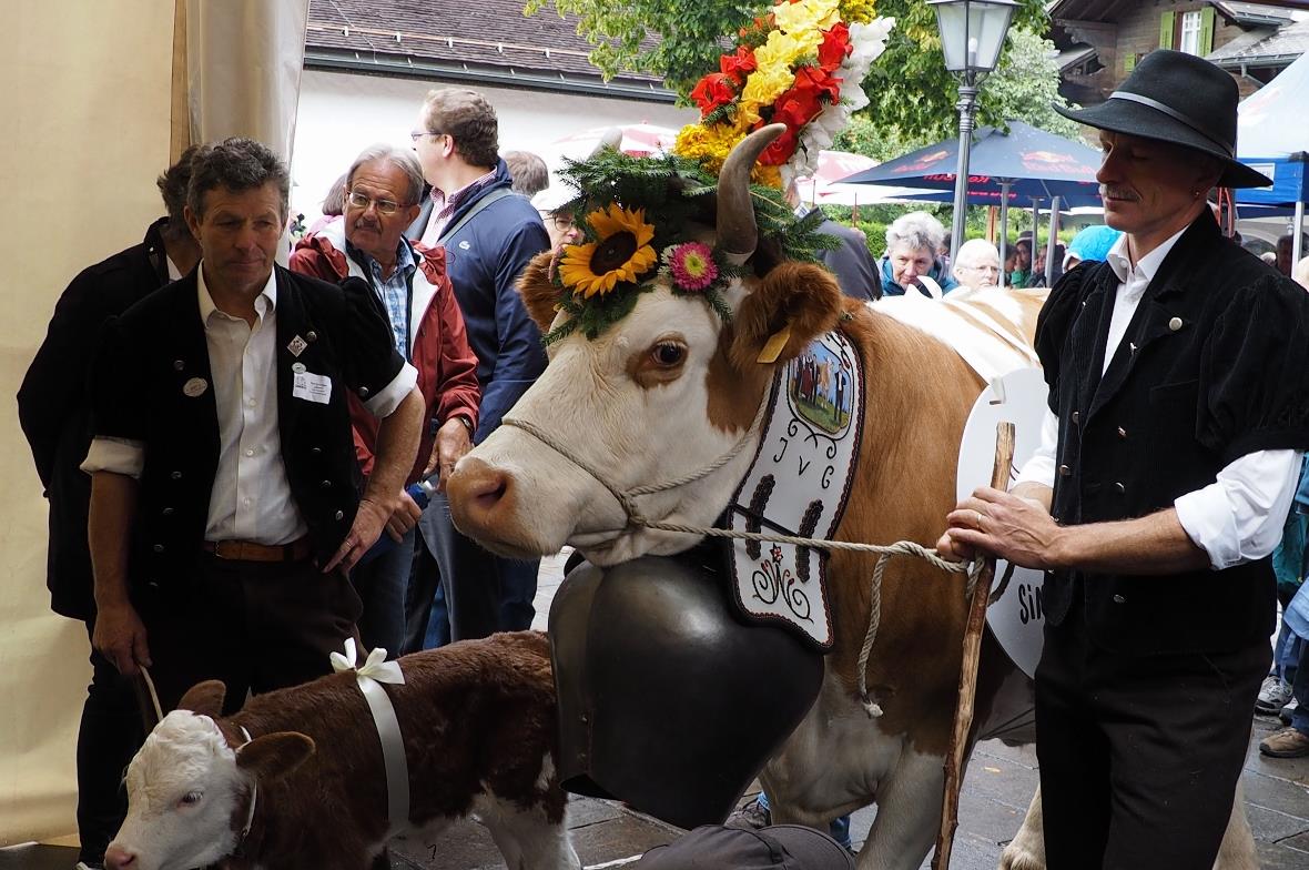 Johann von Grünigen mit neun Tage altem Kälbchen und Mike von Grünigen mit einer...