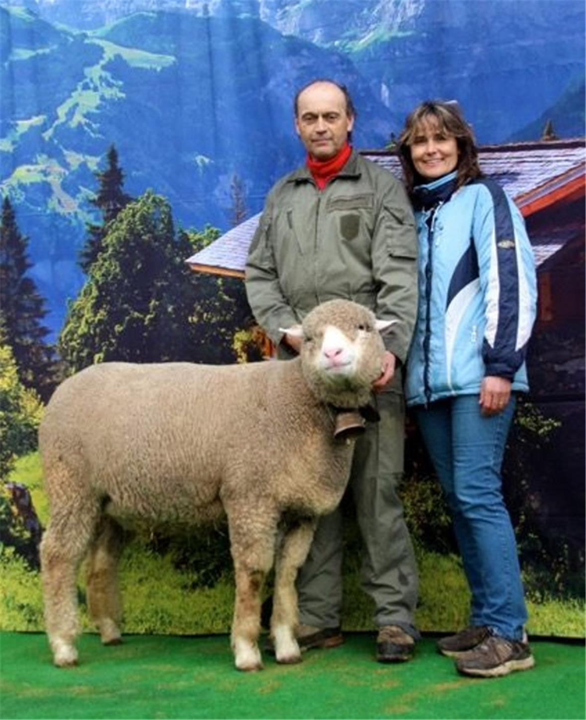 Jürg und Yvonne Steiner aus Blankenburg mit ihrer Miss-Zweisimmen 2015.