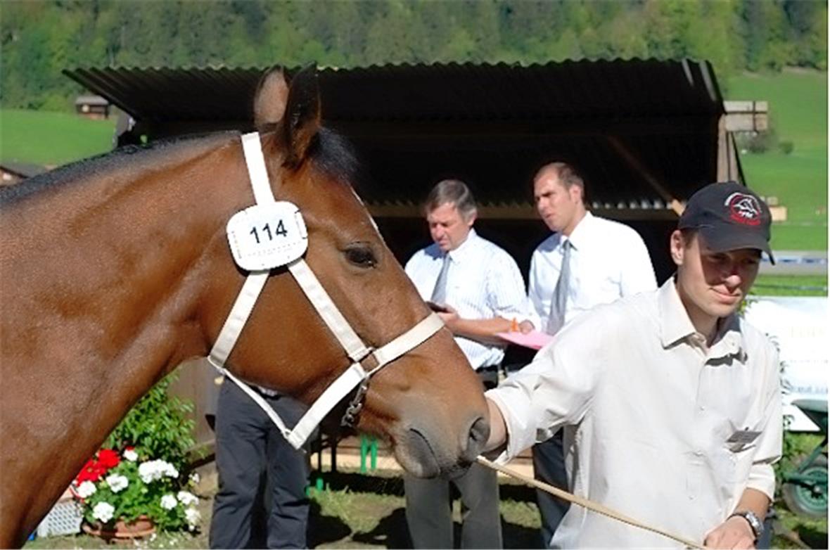 Juroren bei der Arbeit