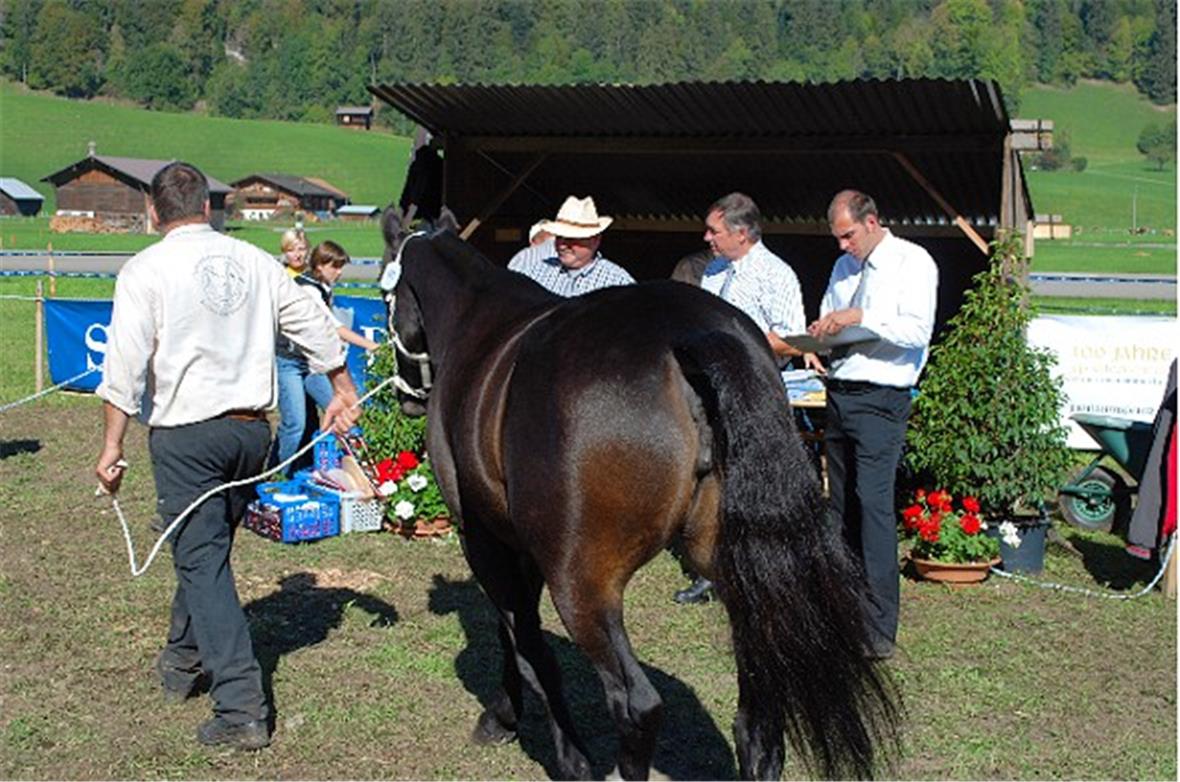 Juroren bei der Arbeit