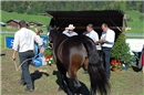 Juroren bei der Arbeit