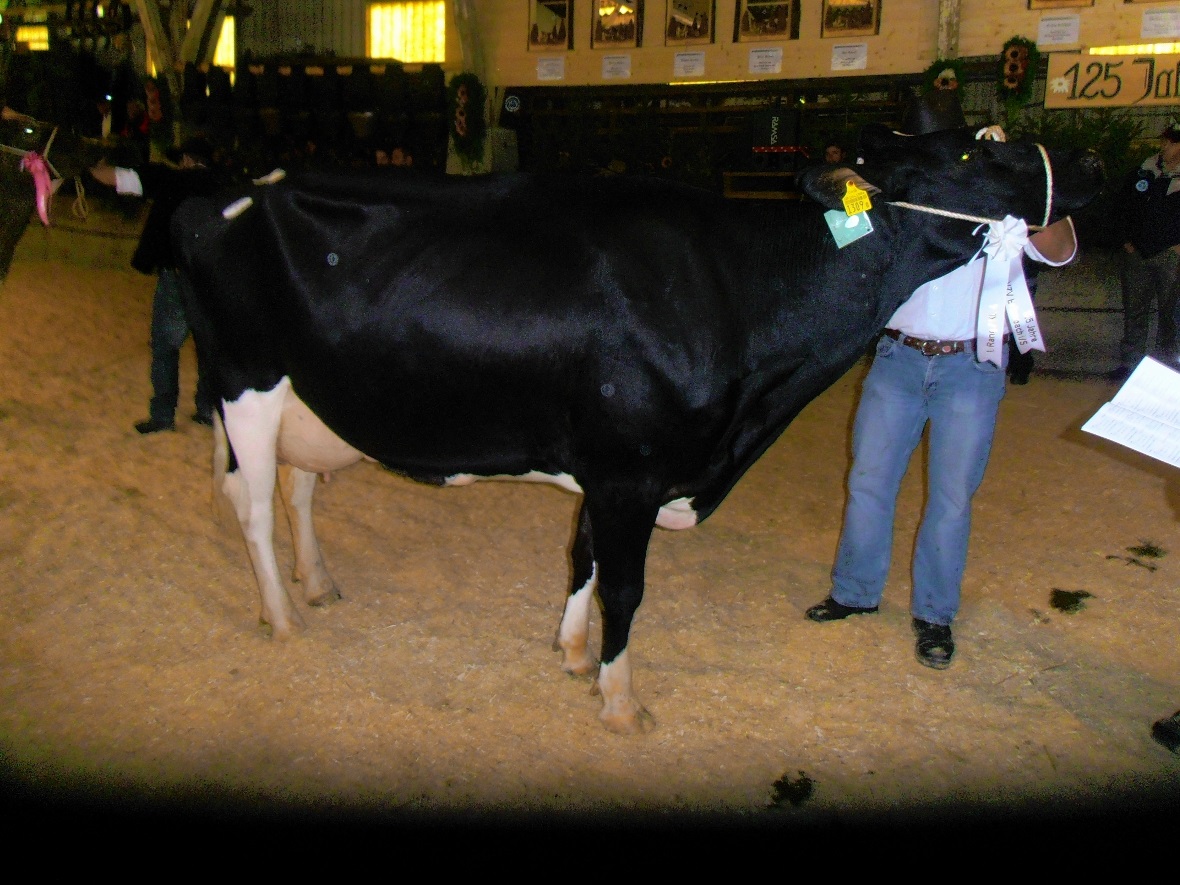 Kalibra von Andreas Eschler.