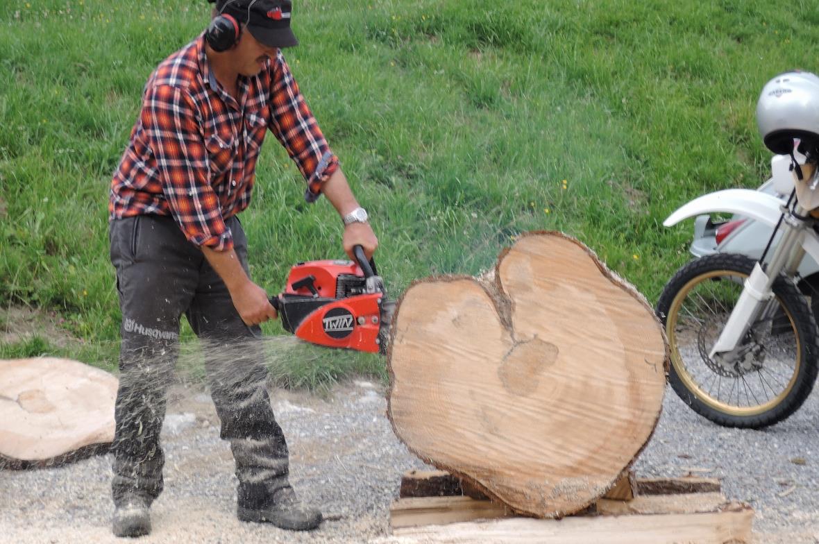 Kamm beim Vorführen einer Motorsäge.