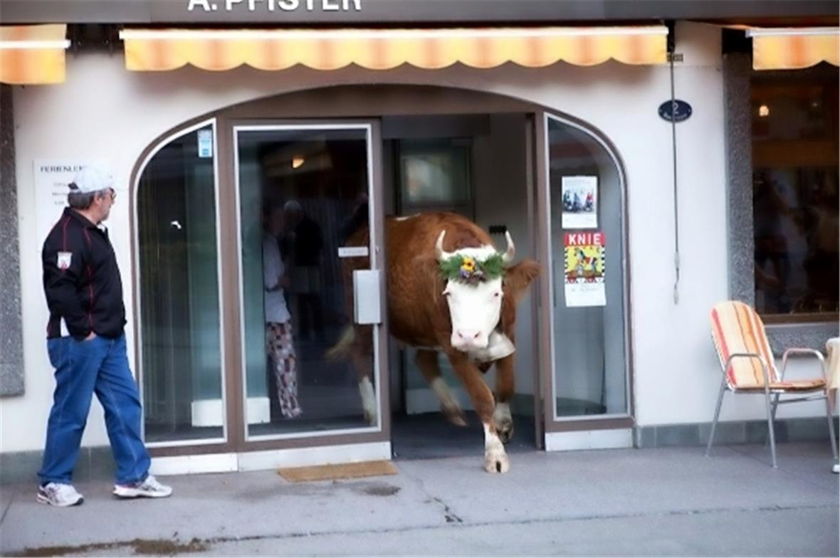 Kann mir jemand sagen wo die Miss gewählt wird?