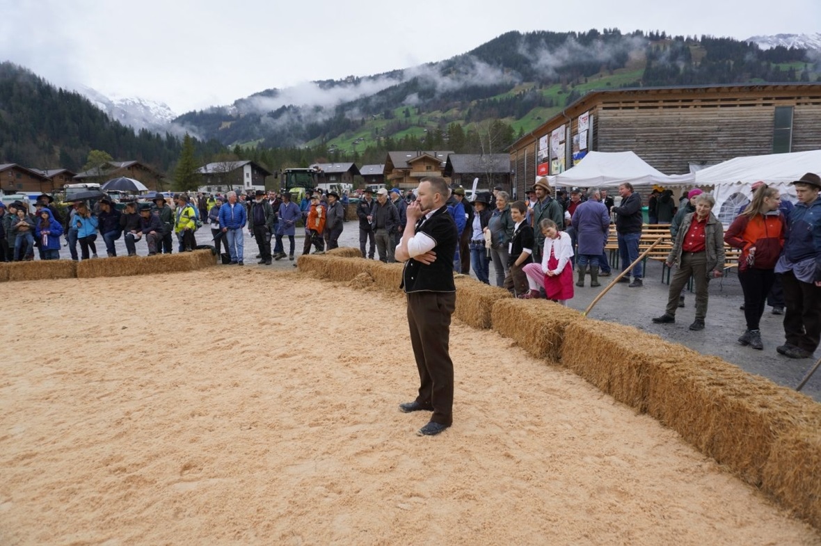 Keine leichte Aufgabe: Juror Christian Zurbrügg beim Begutachten der Tiere im Ri...