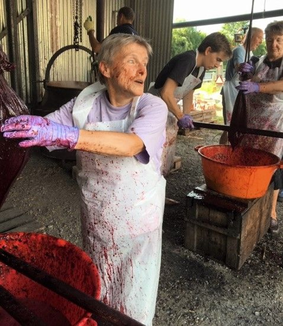 Kirschen auspressen, dazu sollte man die Sonntagskleidung zu Hause lassen.