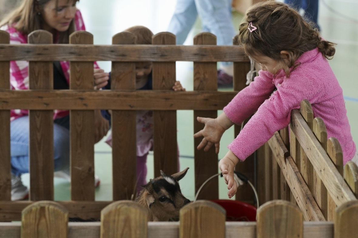 Kleine (und auch grosse) Besucher konnten den Zwergziegen von Franziska und Chri...