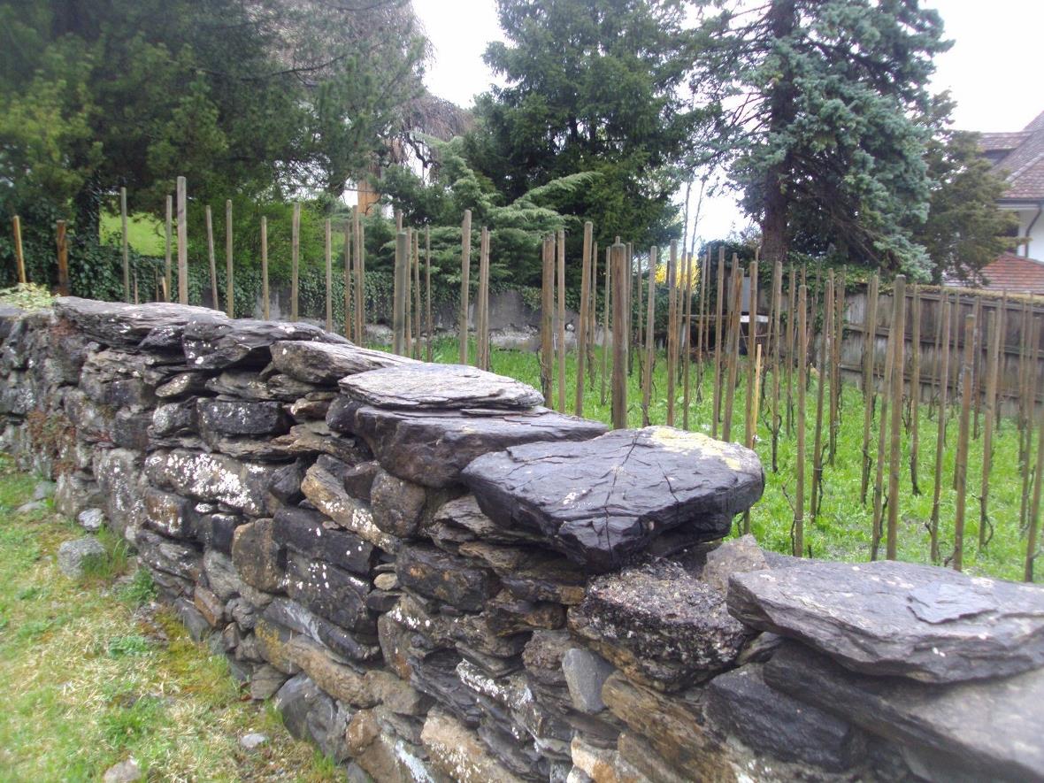 Kleiner Weingarten Wimmis