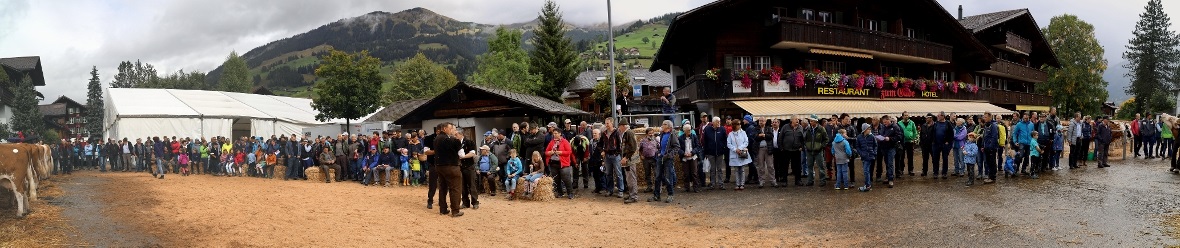 Knapp über 400 Gäste verfolgten die Wahl der Missen.