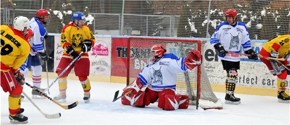 Knibel steht unter Dauerdruck durch die Old-Tigers.