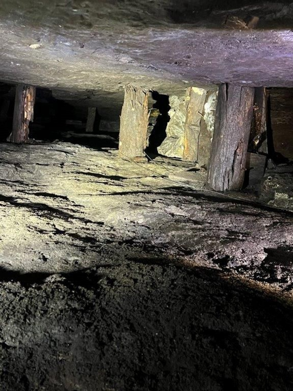 Kohlebergwerke Boltigen: Sicherungen mit Holzstämmen im Stollen.