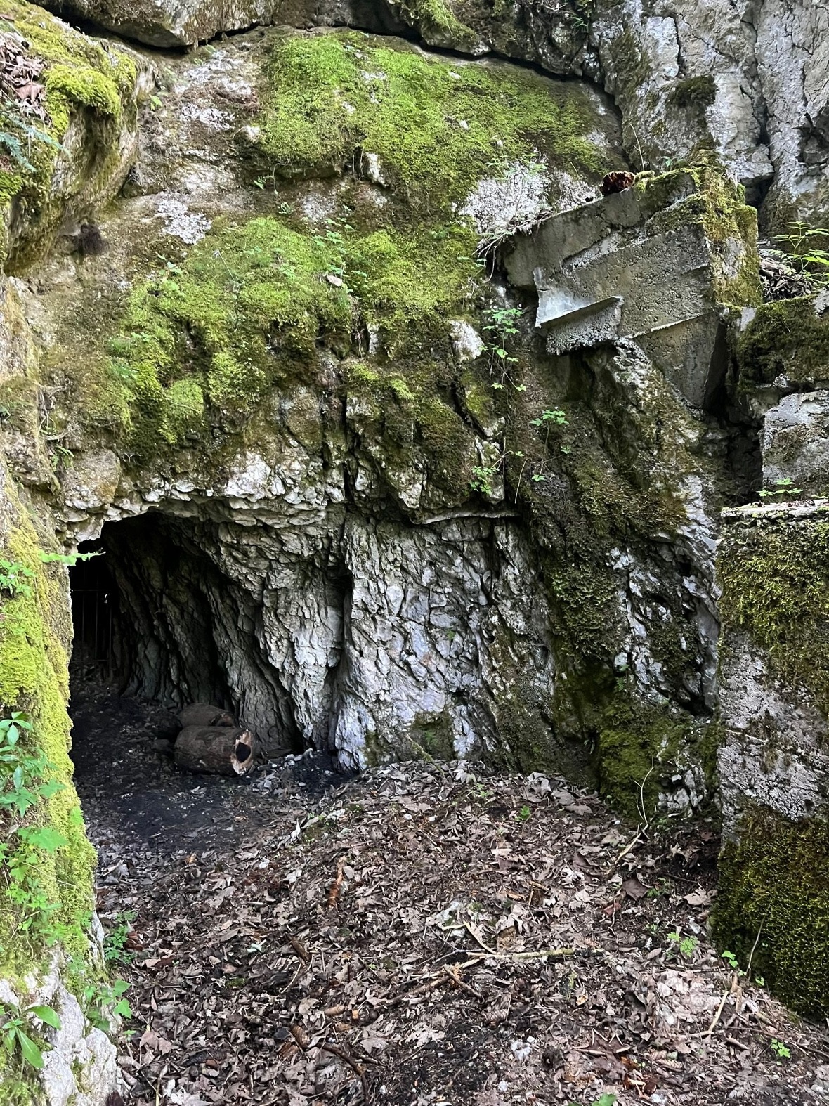 Kohlebergwerke Boltigen.