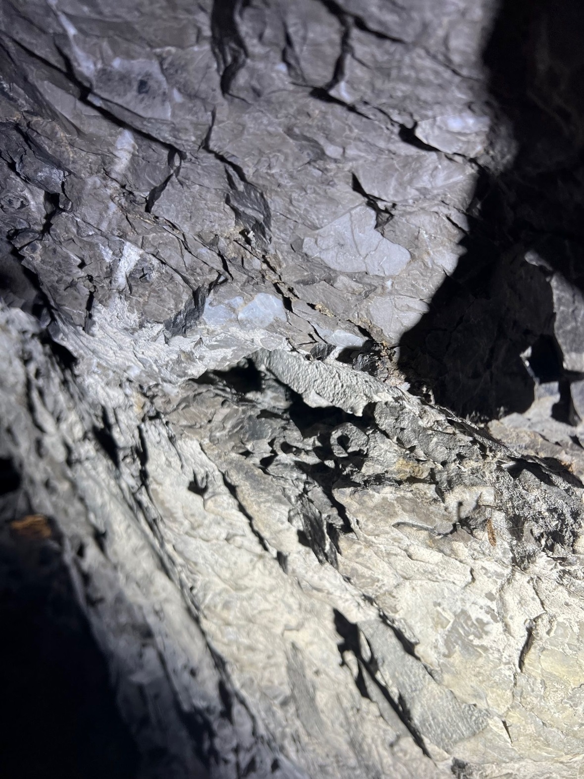 Kohlebergwerke Boltigen.