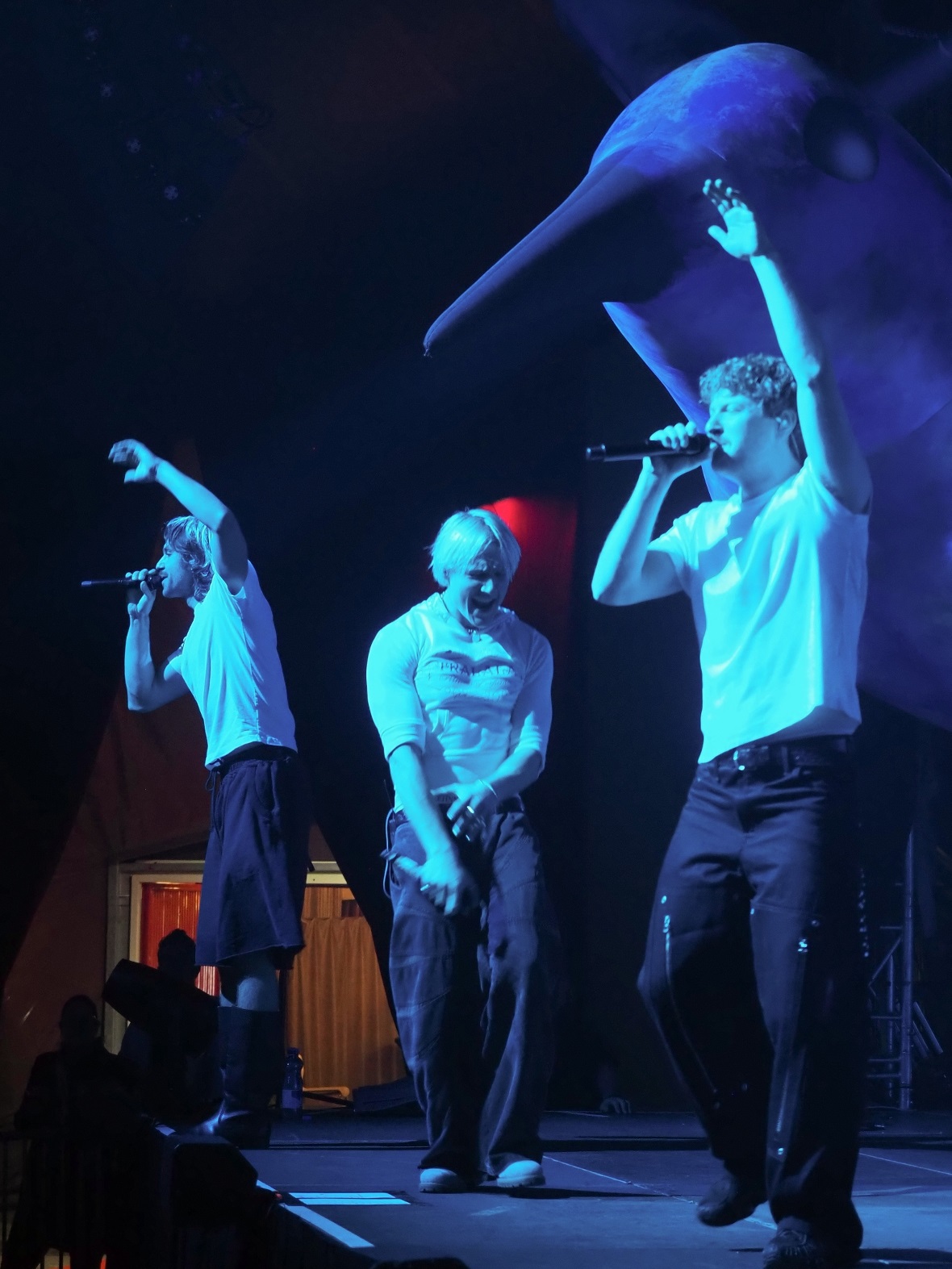 Konzert von der Deutschen Band 01099 im Zelt.