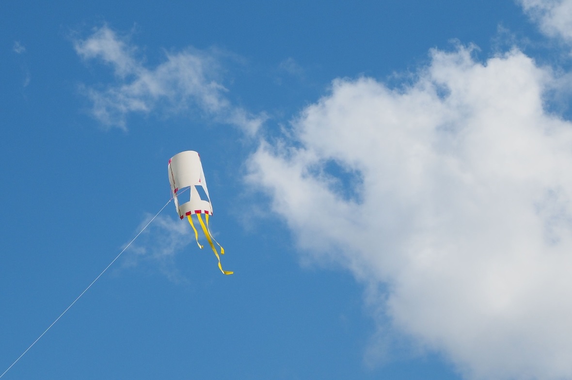 Kreative Drachenmodelle vor weiss-blauem Himmel.