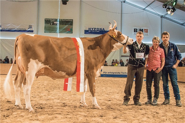 Kuh Bond Arnika mit Martin, Heidi und Ferdinand Bergmann, Abländschen.