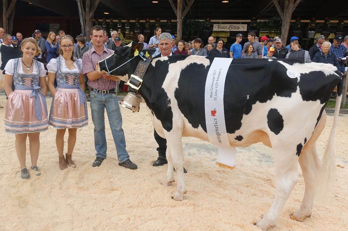 Kuh «Percy-ET» aus dem Stall der Familie Andreas Brügger wurde zur Miss Schöneut...