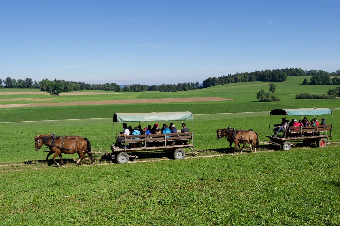 Kutschenfahrt im Jura.