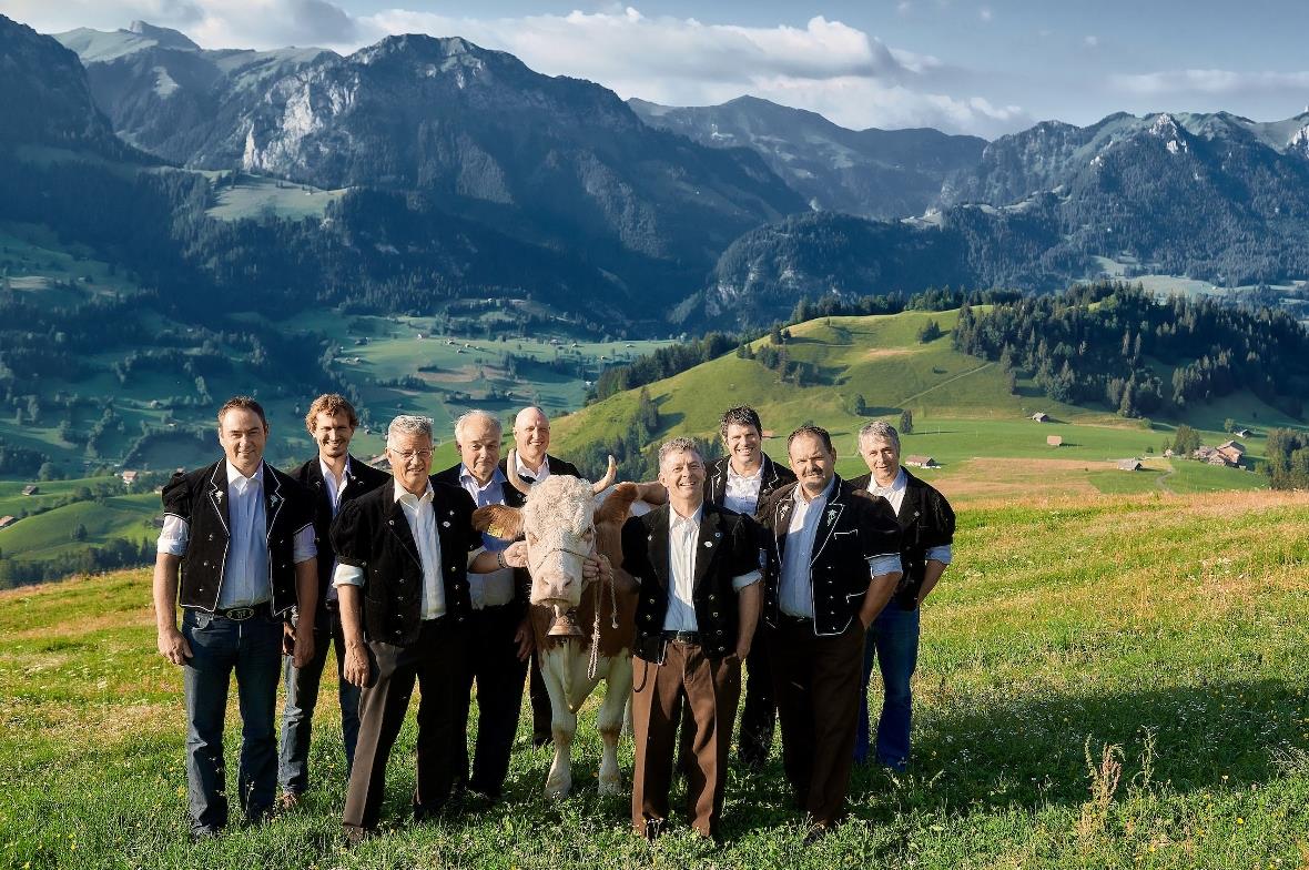 Lancierung des «Simmentaler» Labels auf dem Rossberg.