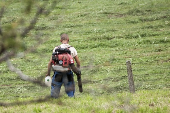 Landwirte und Laubbläser: Viele ärgern sich über die Dauerlärmbelästigung.