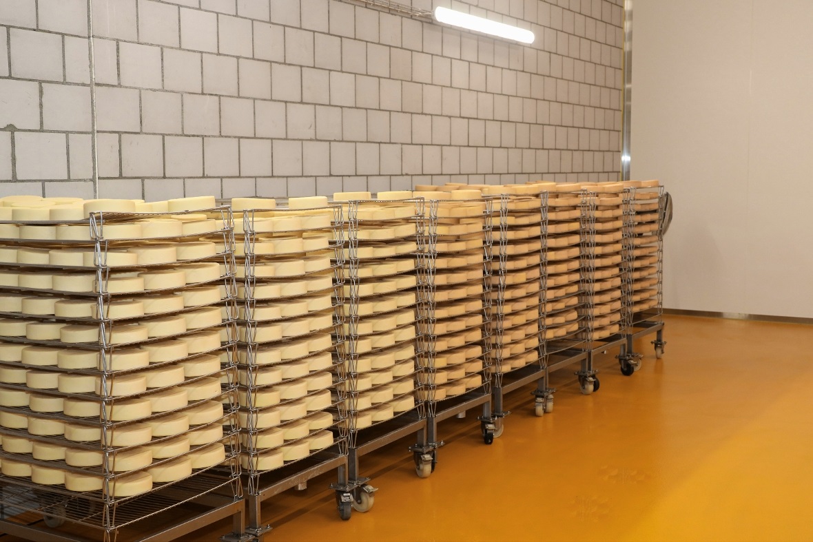 Lenker Tummeli im Reifekeller.