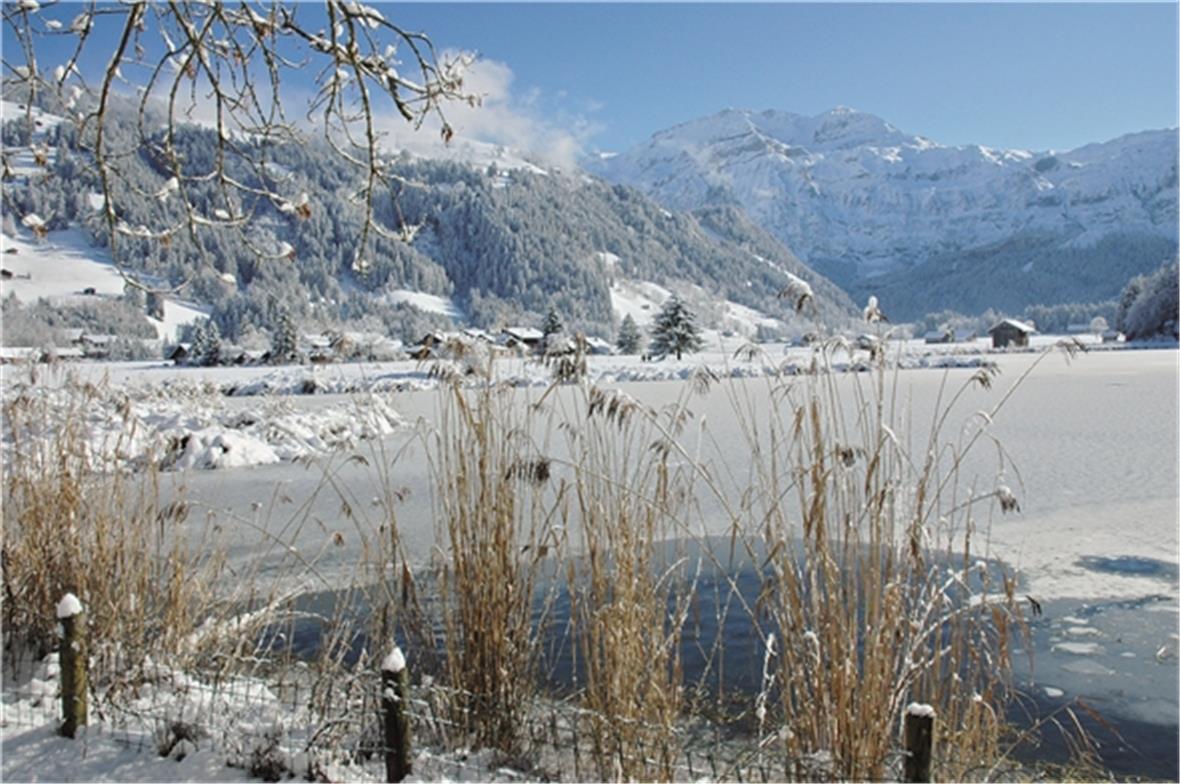 Lenkersee.